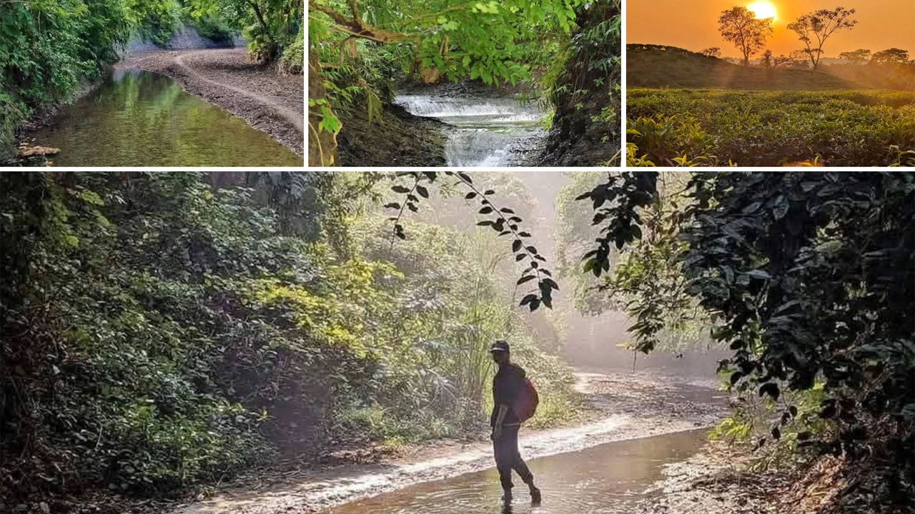 মীরসরাইয়ের ট্রেইল ধরে অভয়ারণ্য, ফটিকছড়ি বের হওয়া